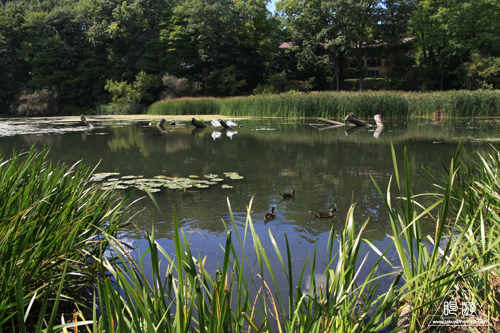 102 High Park ~最後のハイパーク~_c0211532_111474.jpg
