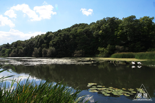 102 High Park ~最後のハイパーク~_c0211532_1115647.jpg