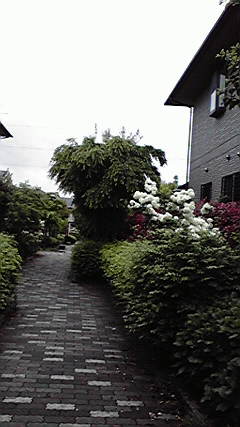 c0136736_15202424.jpg