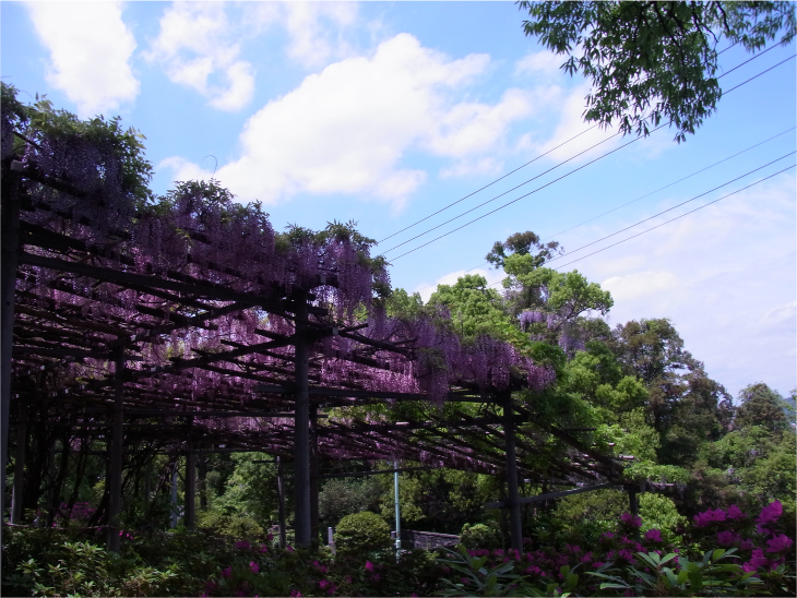 阿智神社_a0169145_14322661.jpg