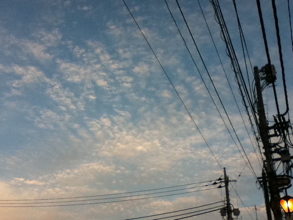 d0129646_10575745.jpg