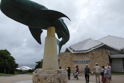 GなW　in沖縄～美ら海水族館編～_b0203947_21442052.jpg