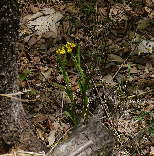 d0091754_161946.jpg