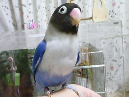 e0147757_2334483.jpg