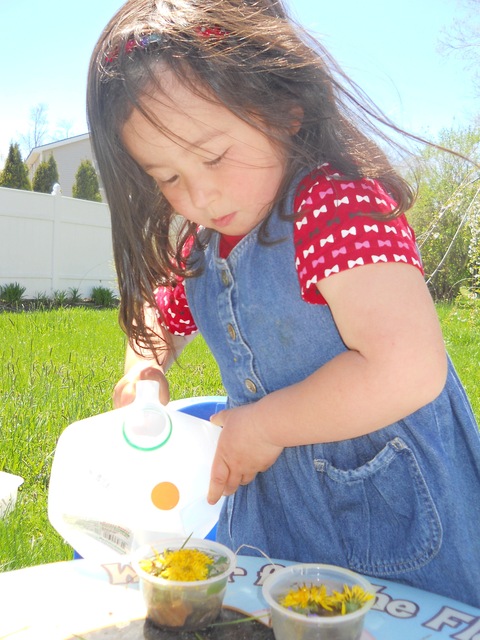 c0115258_2213030.jpg
