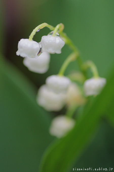 f0147858_18181877.jpg