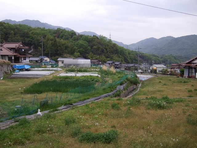 b0095061_10423047.jpg