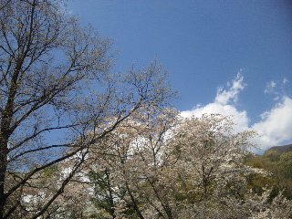 b0147061_20371387.jpg