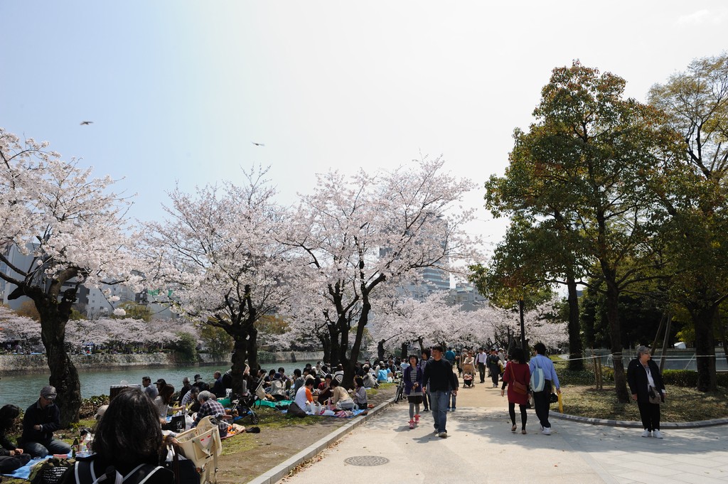 平和公園の桜_b0228461_14164527.jpg