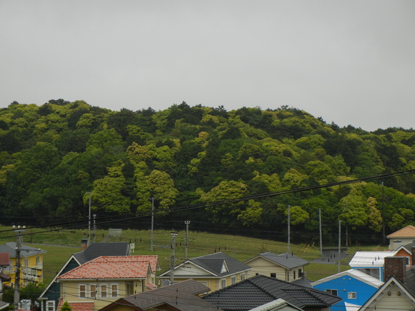 2011年5月12日(木)雨上がり~!_f0060461_10503234.jpg
