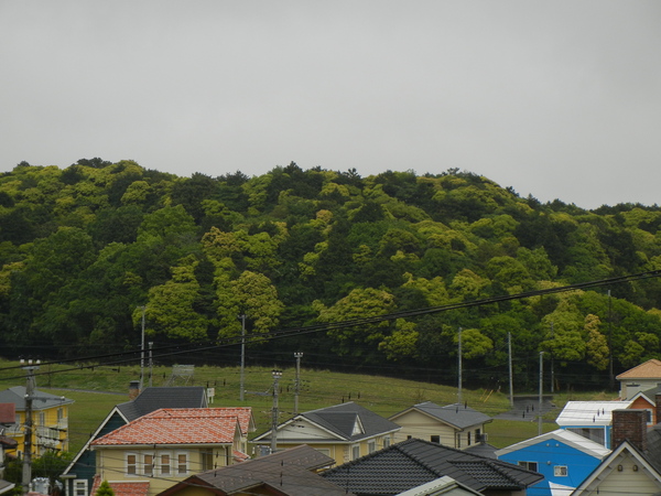 2011年５月１２日（木）雨上がり～！_f0060461_10503234.jpg