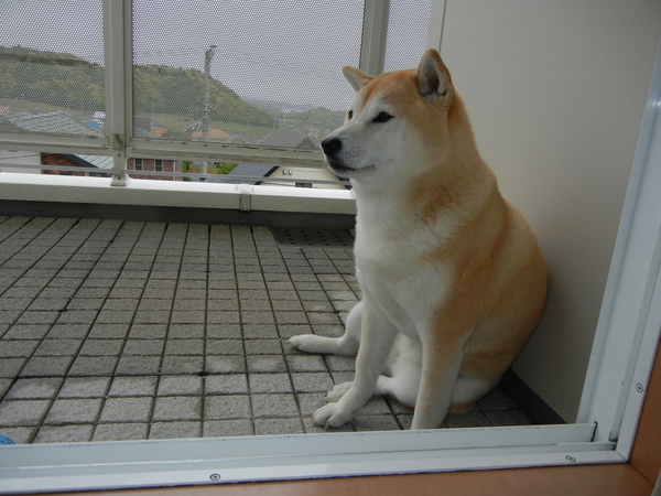 2011年5月12日(木)雨上がり~!_f0060461_10531551.jpg