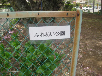 企画「大田原をもっと知ろう!」・・・その2、紫塚④。_b0063162_221465.jpg