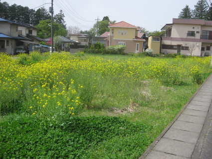 企画「大田原をもっと知ろう!」・・・その2、紫塚④。_b0063162_2222870.jpg