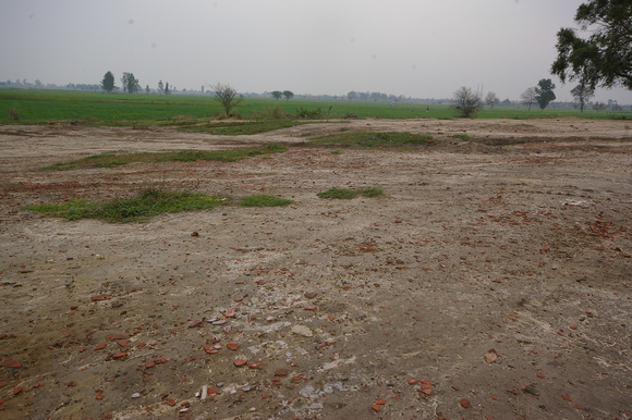 インド滞在記2011 その8: India 2011 Part8_a0186568_22295082.jpg
