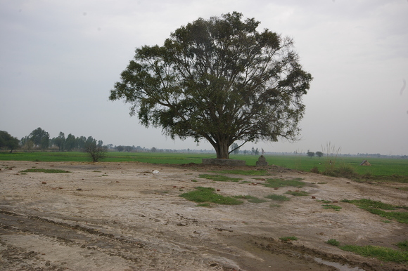 インド滞在記2011 その8: India 2011 Part8_a0186568_22301519.jpg