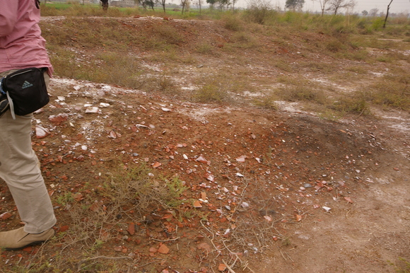 インド滞在記2011 その8: India 2011 Part8_a0186568_22322586.jpg