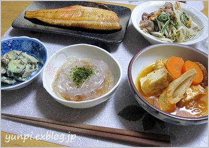 5月11日（水）晩御飯「厚揚げとキムチの煮物」_c0221169_920996.jpg