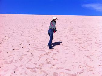 Trip to Up North Michigan（北ミシガンへの旅）最終日　Sleeping Bear Dune National Park_b0127870_1295361.jpg