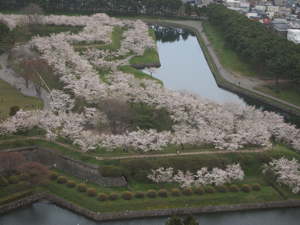 興奮がいっぱい函館の旅！_b0138283_23512687.jpg