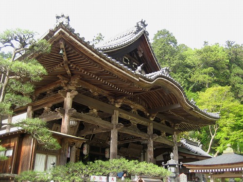 明日香　石楠花の岡寺2011_c0229483_10233921.jpg