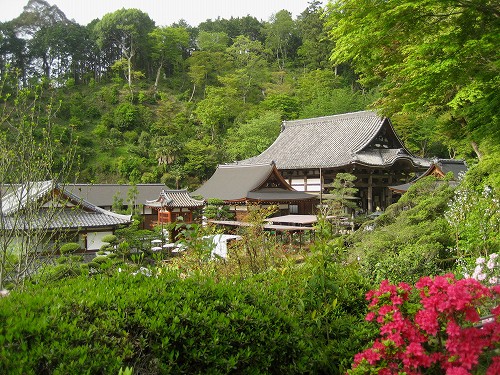 明日香　石楠花の岡寺2011_c0229483_10273854.jpg