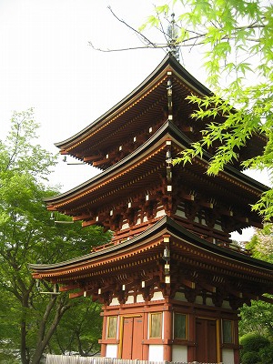 明日香　石楠花の岡寺2011_c0229483_1028933.jpg