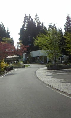 d0229487_2012030.jpg