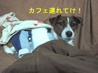 e0121589_01877.jpg