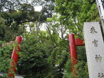 来宮神社。_c0051794_041229.jpg