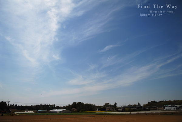 【wanこ】千葉・船橋 アンデルセン公園ドッグラン 〜 チーム・ピーナッツ_f0054594_4394587.jpg