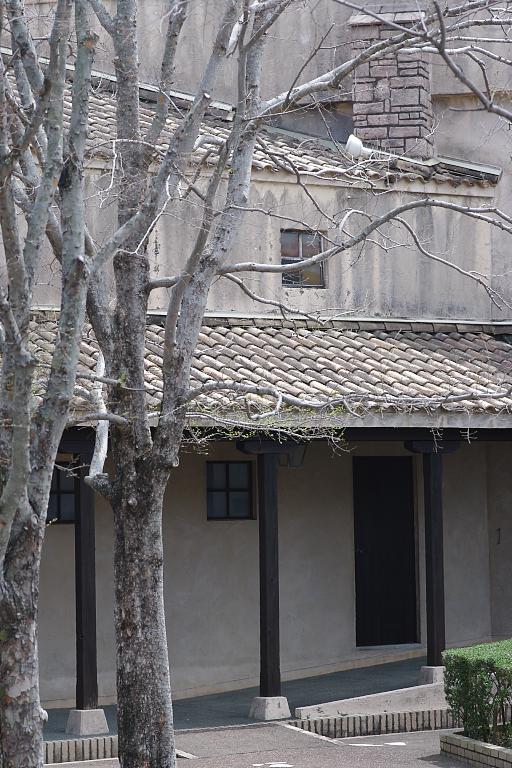 d0069495_73189.jpg