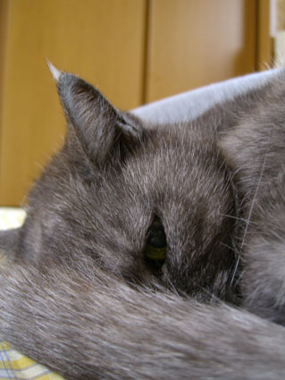 チラ見_a0045697_021479.jpg