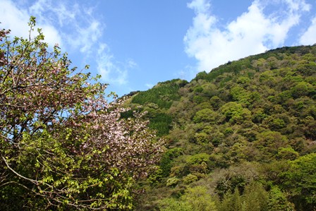b0125397_2424110.jpg