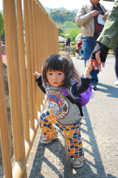 f0136098_0441868.jpg