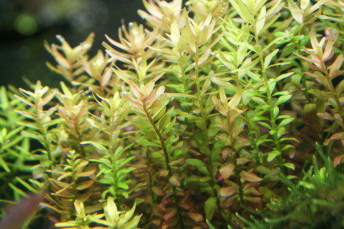 a0183301_035840.jpg