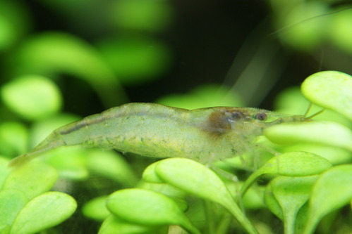 a0183301_0411269.jpg