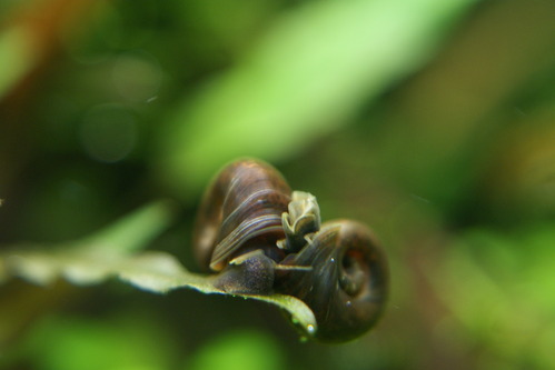 a0183301_0413645.jpg