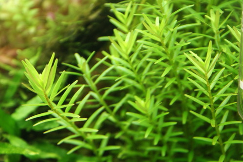 a0183301_04203.jpg