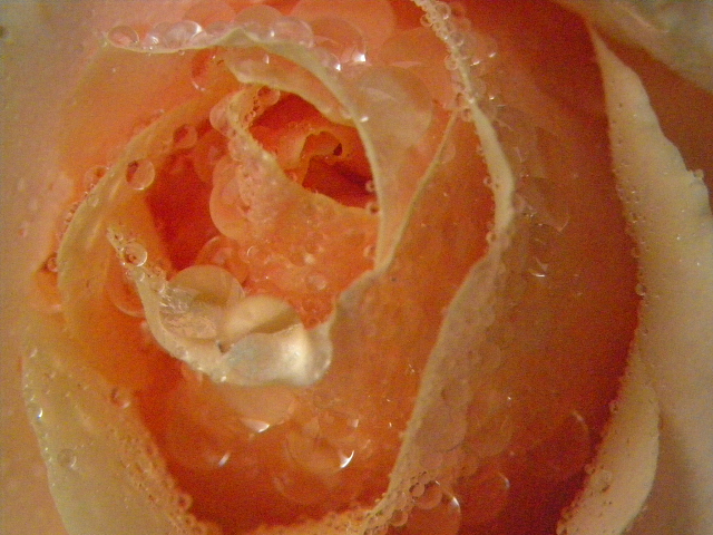 b0147203_17484833.jpg