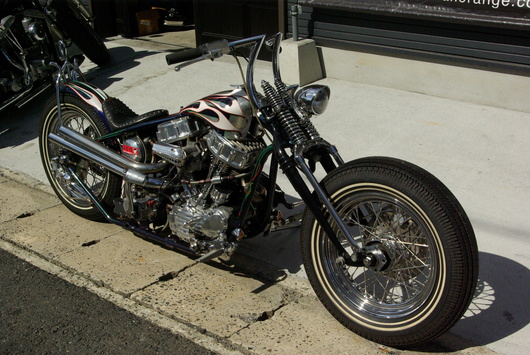 PAN HEAD._d0149307_1004369.jpg
