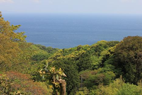 c0187809_8394412.jpg