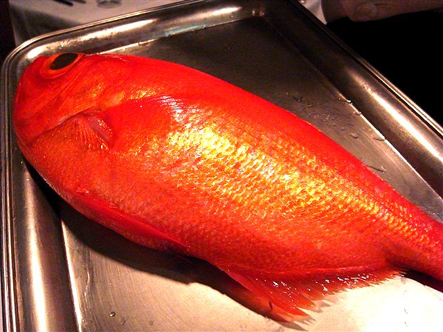 今もなお、生み出し続けられる“トラディッション”_c0116714_0305889.jpg