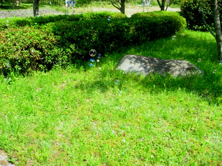 e0064227_112076.jpg