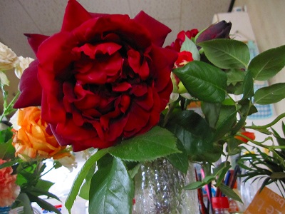 e0176627_15391022.jpg