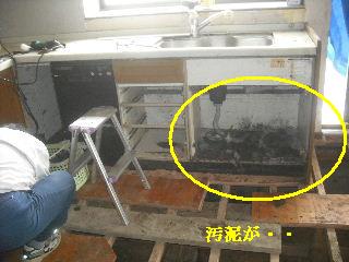 賃貸と・・震災被害_f0031037_2011666.jpg