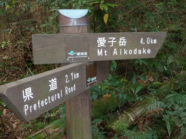 b0190242_155526.jpg