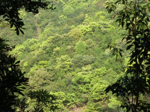 b0190242_1561816.jpg