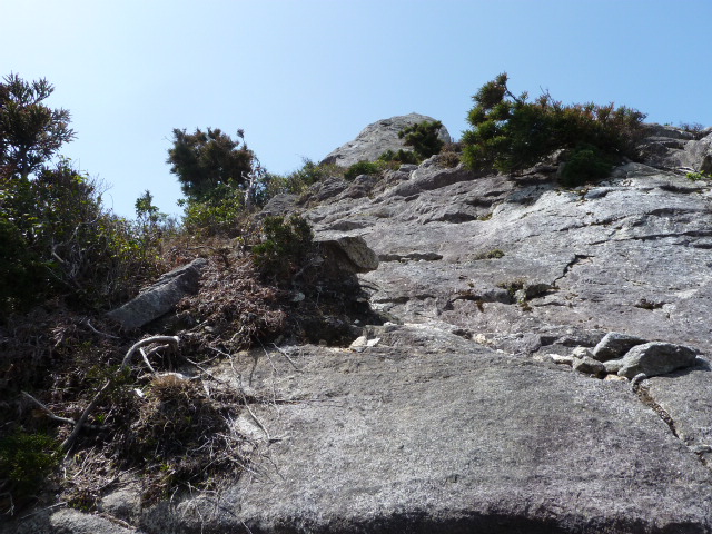 b0190242_20815.jpg
