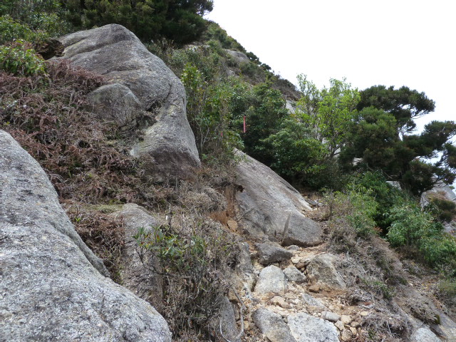 b0190242_245873.jpg